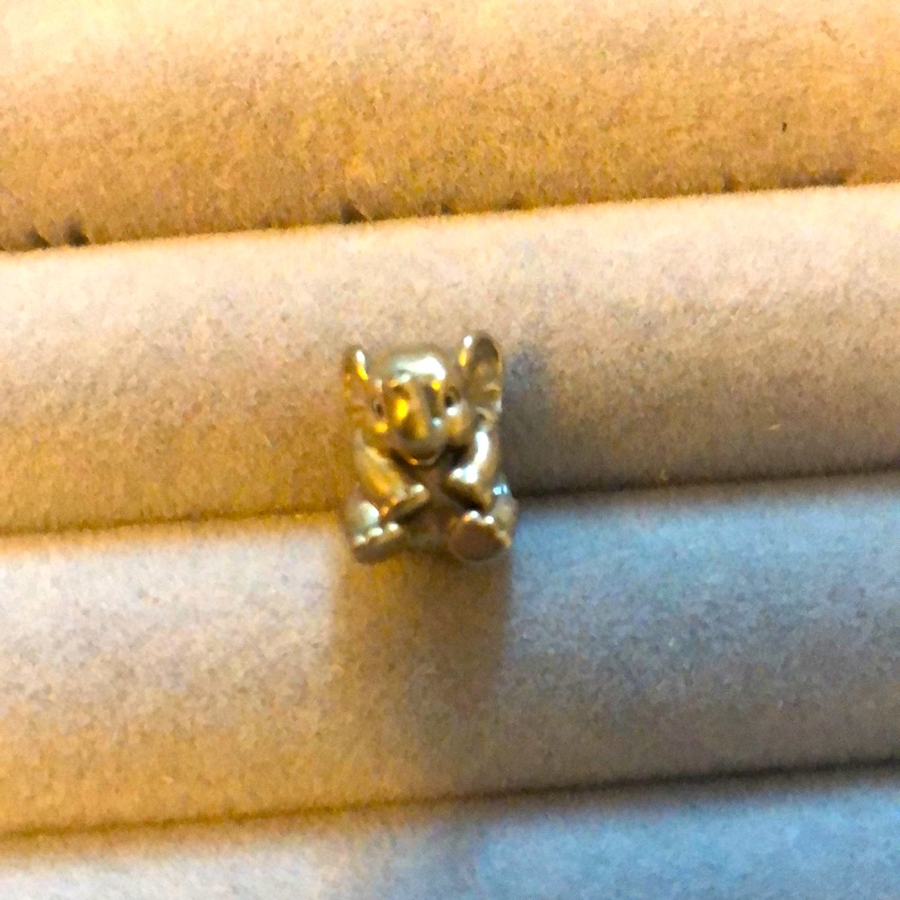 Pandora charm